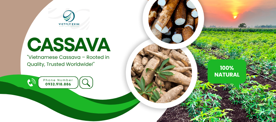 Cassava