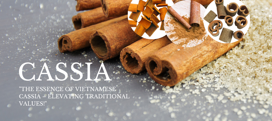 Cassia