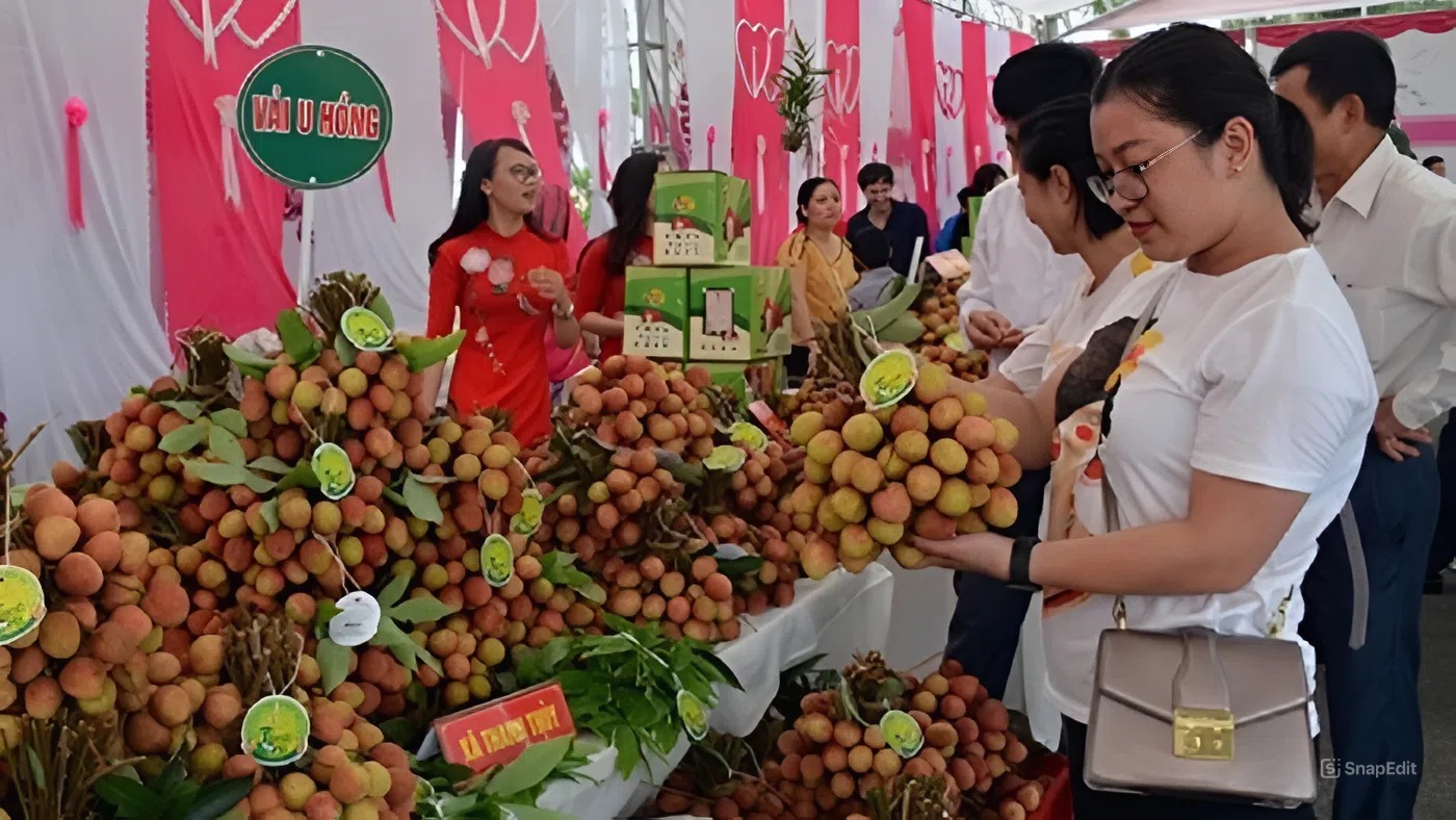 Mời tham gia Chương trình Kết nối giao thương Lễ hội trái cây và rau củ Việt Nam tại Singapore 2025