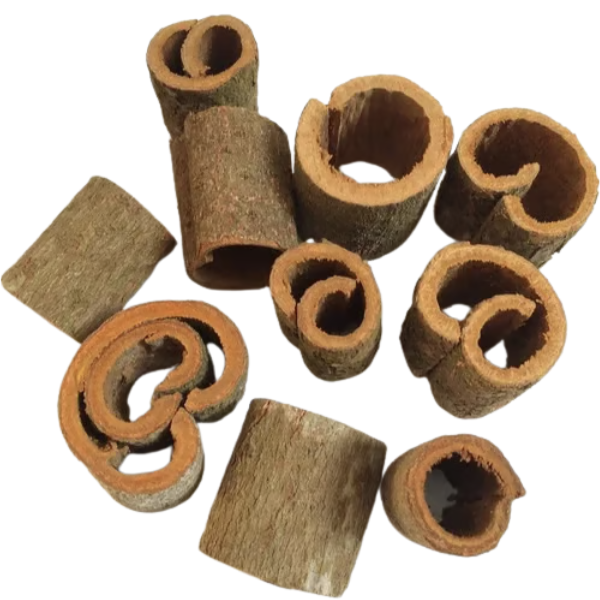 Round Cut Cassia