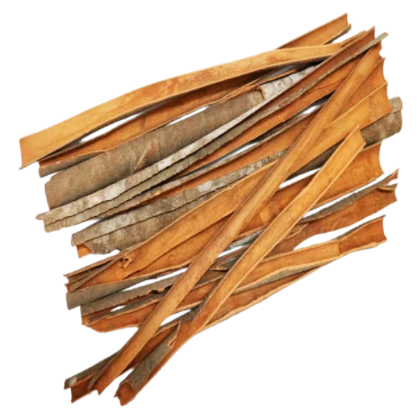 Split Cassia